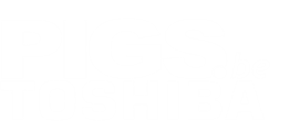 TOSHIBA